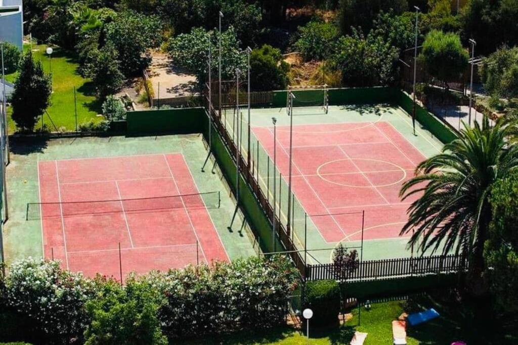 Verano Eterno En Mallorca - Alcudia! Extérieur photo